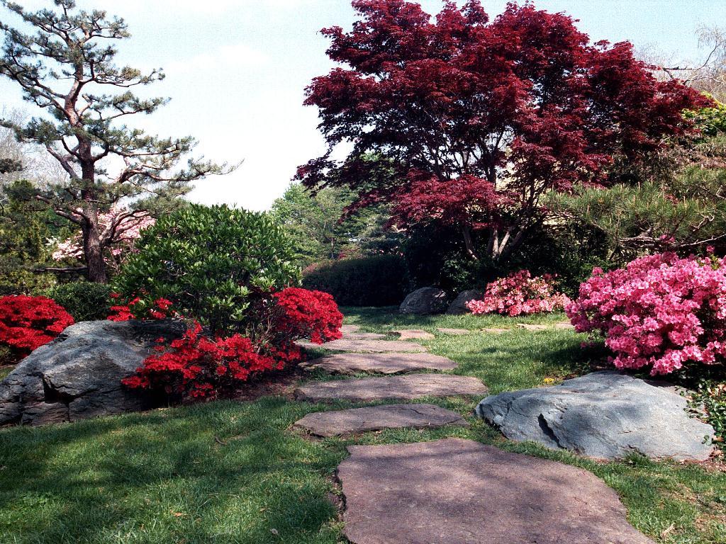 garden.jpg