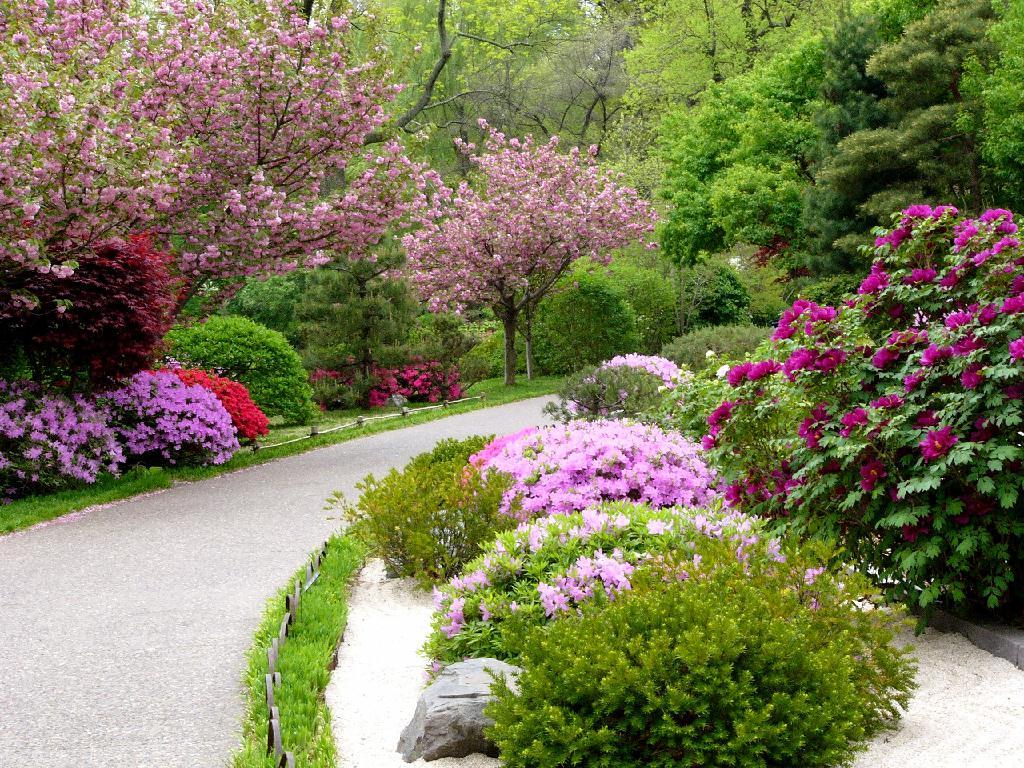 pathway.jpg